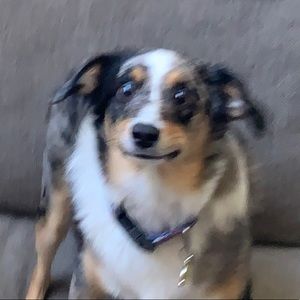 Meet your Posher, Matthew